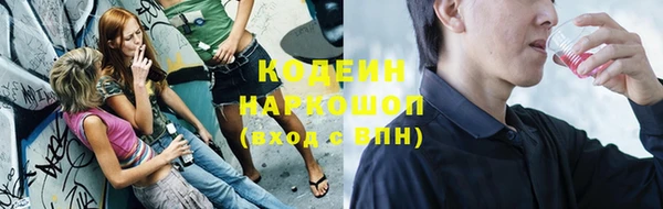 стаф Верея