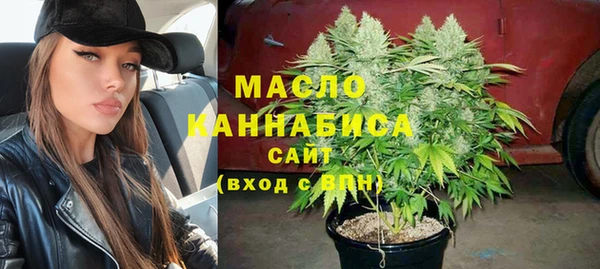 стаф Верея