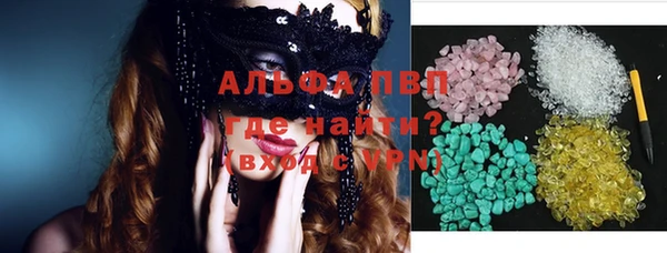стаф Верея