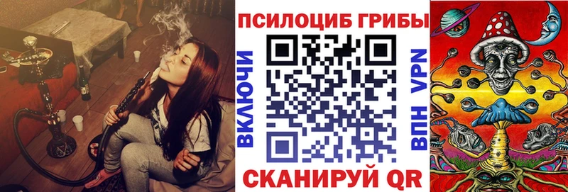 наркошоп  Мензелинск  Псилоцибиновые грибы GOLDEN TEACHER 